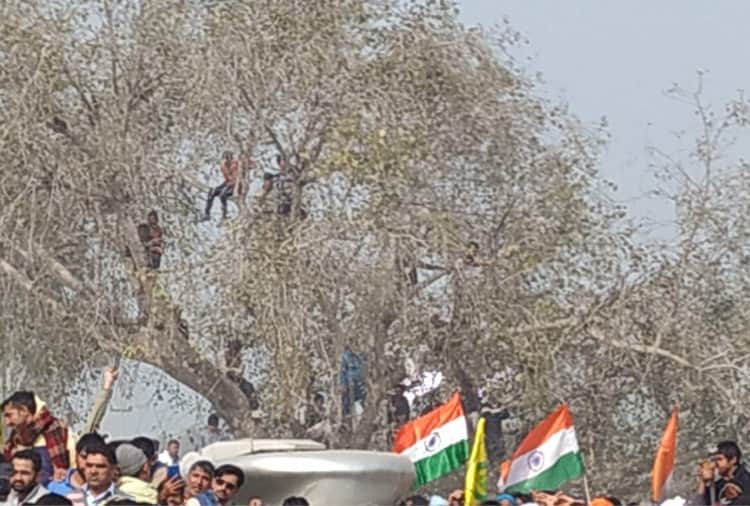 Crowd gathered in Mahapanchayat of Rakesh Tikait in Jind Of Haryana