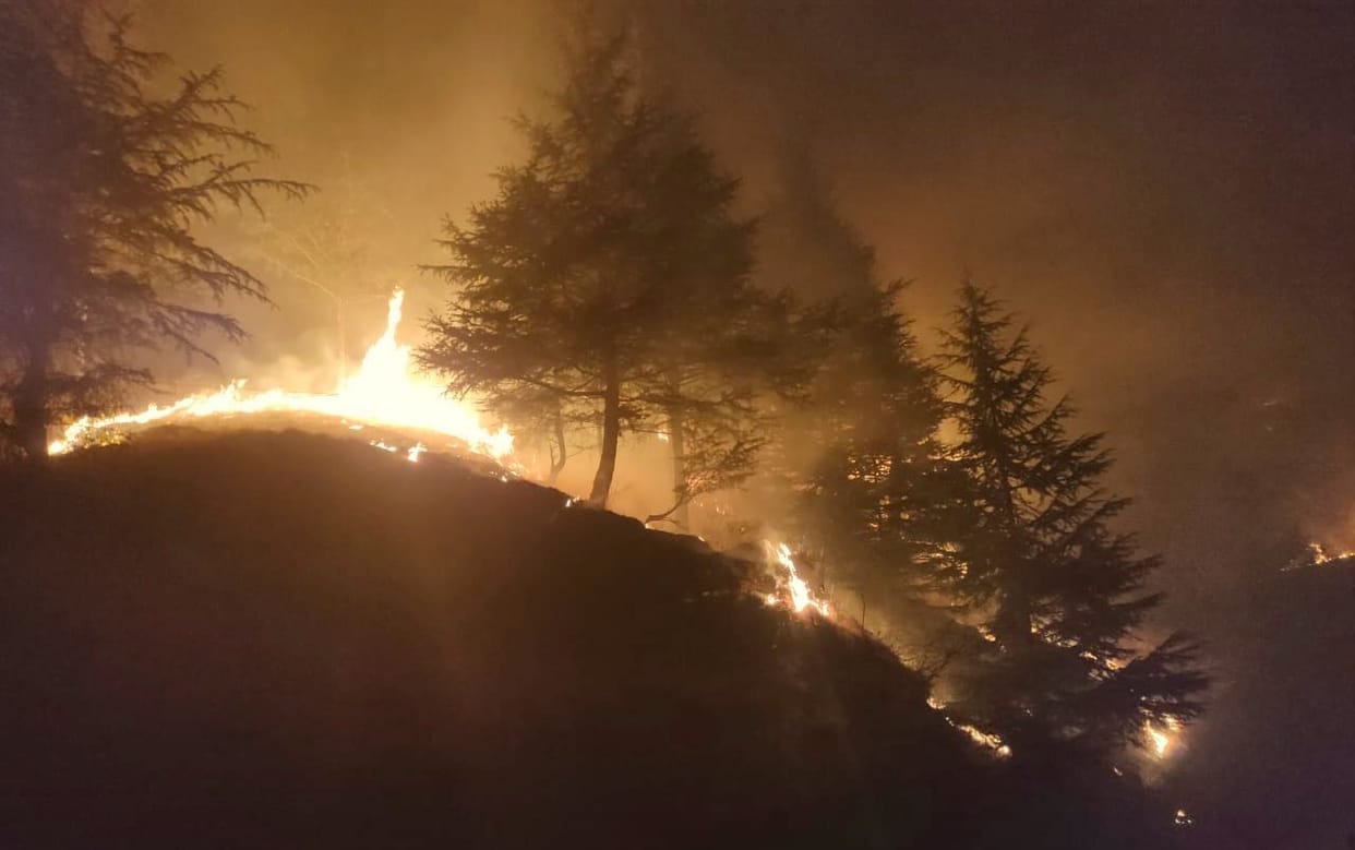 fire in Nitcher forest, heavy loss
