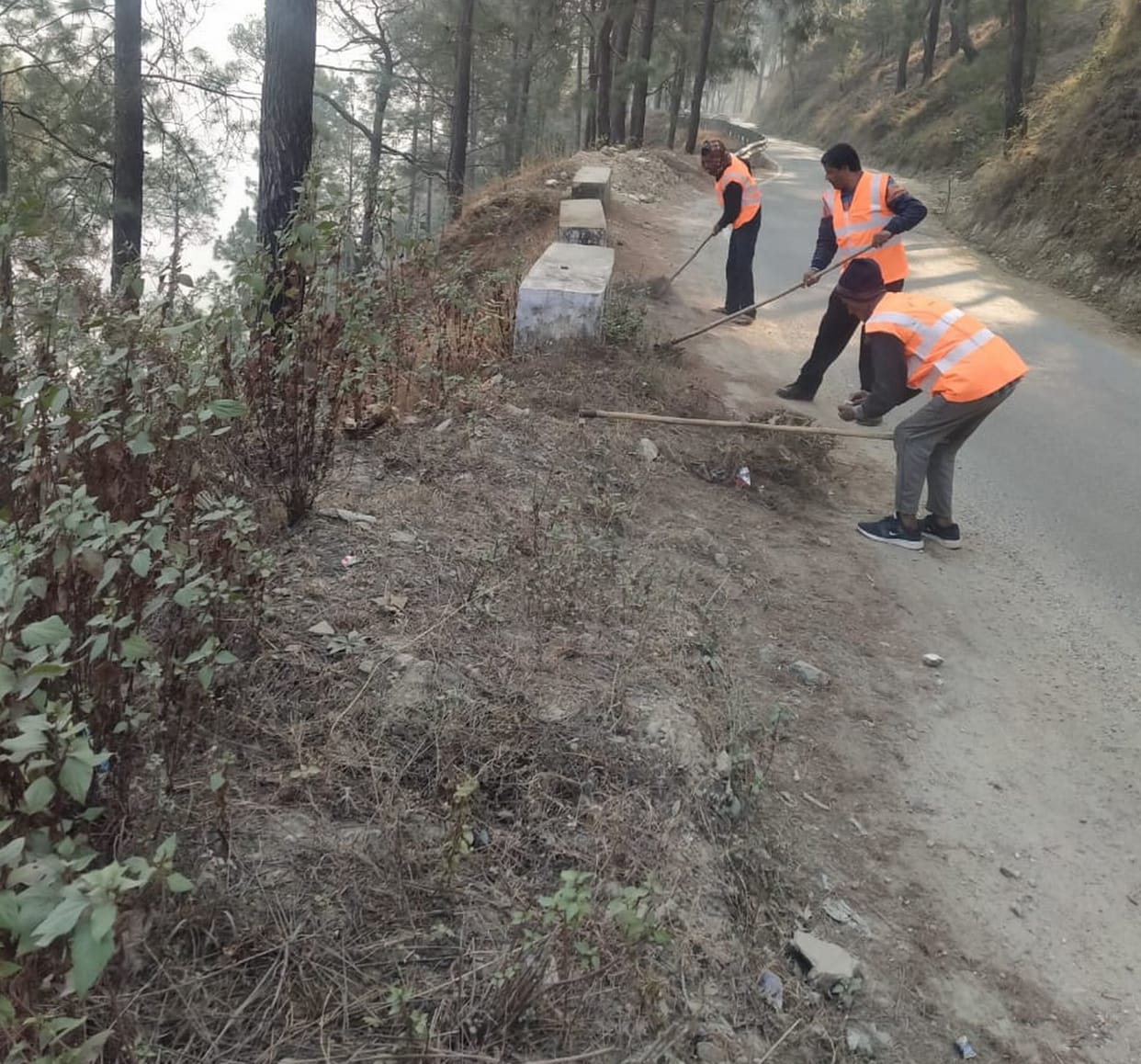 Four crew stations ready for protection of forest land