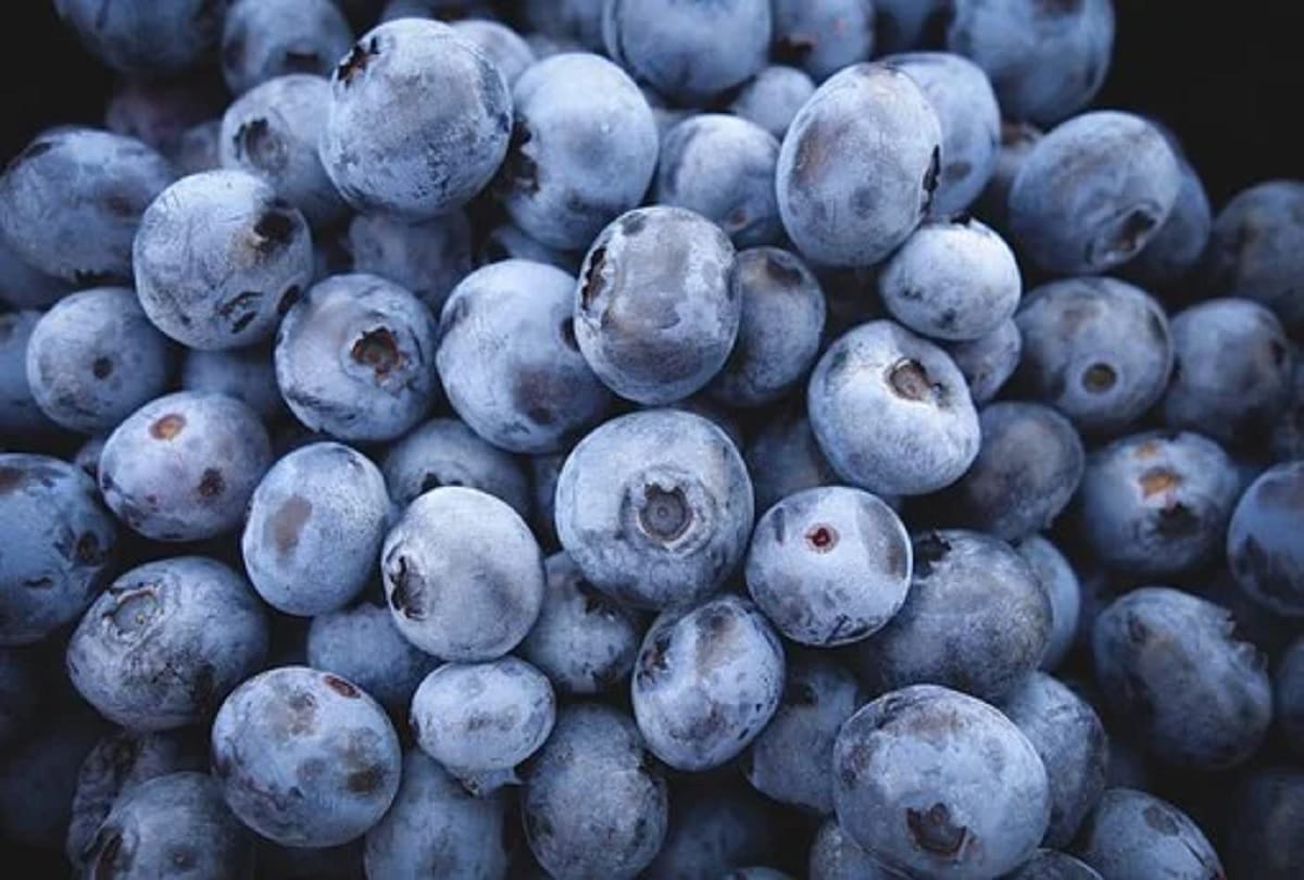 Health benefits of Blueberry fruit in hindi