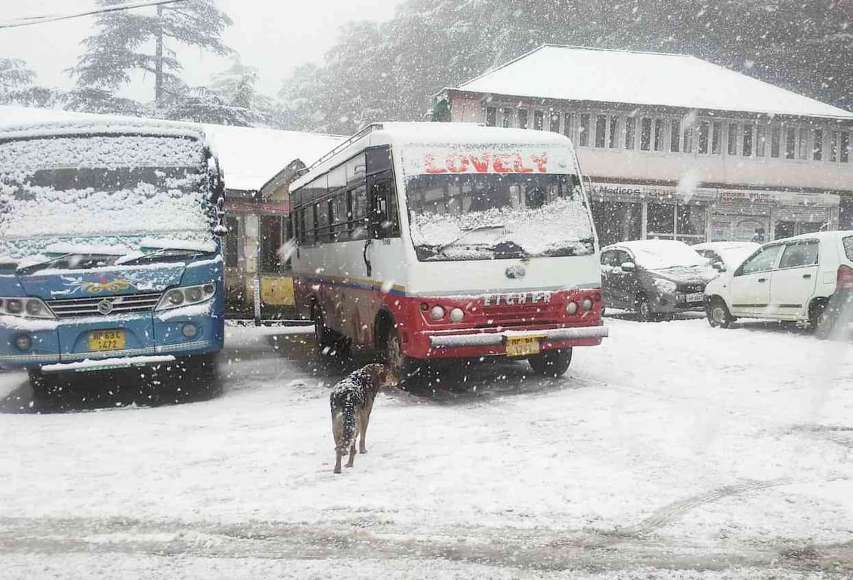Snowfall,in solan,12 bus route stopped