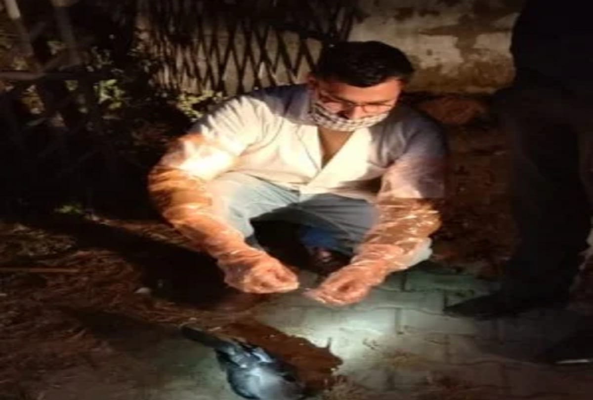 died crow found in moradabad village