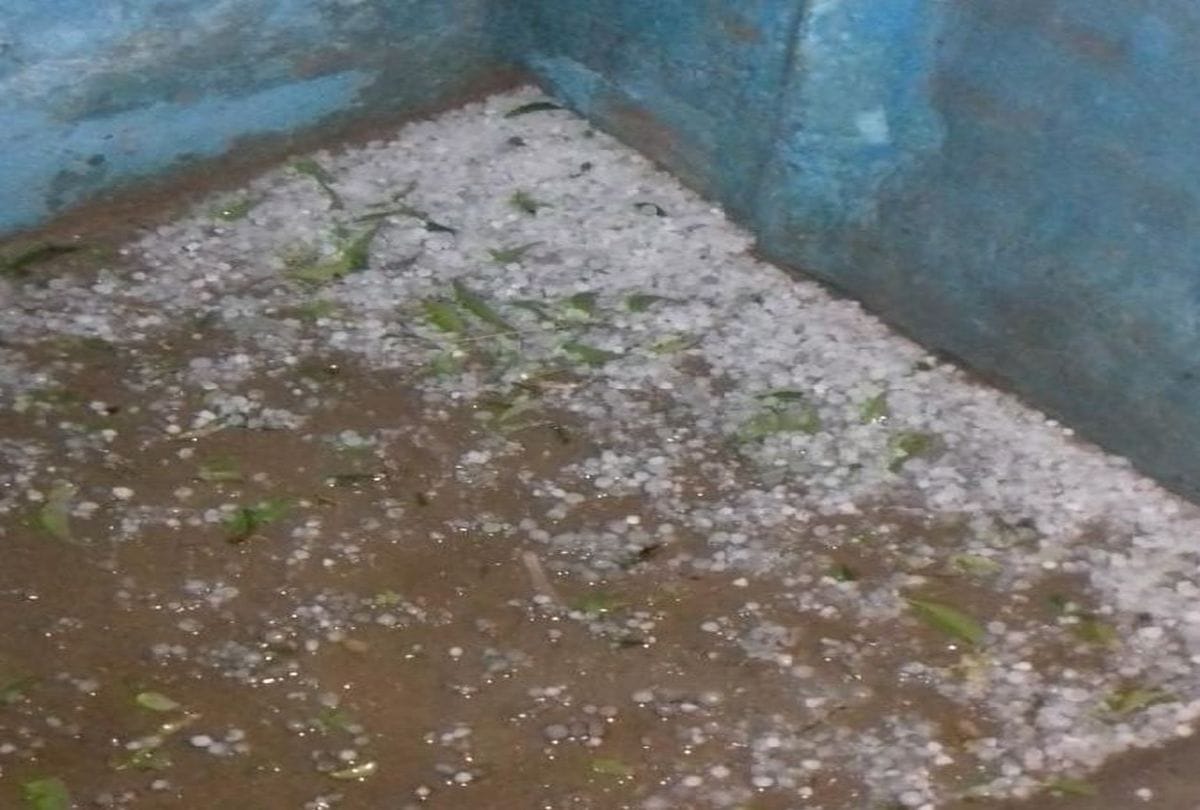 Weather Forecast Update Today In Mathura: Rain And Hailstorm In Mathura