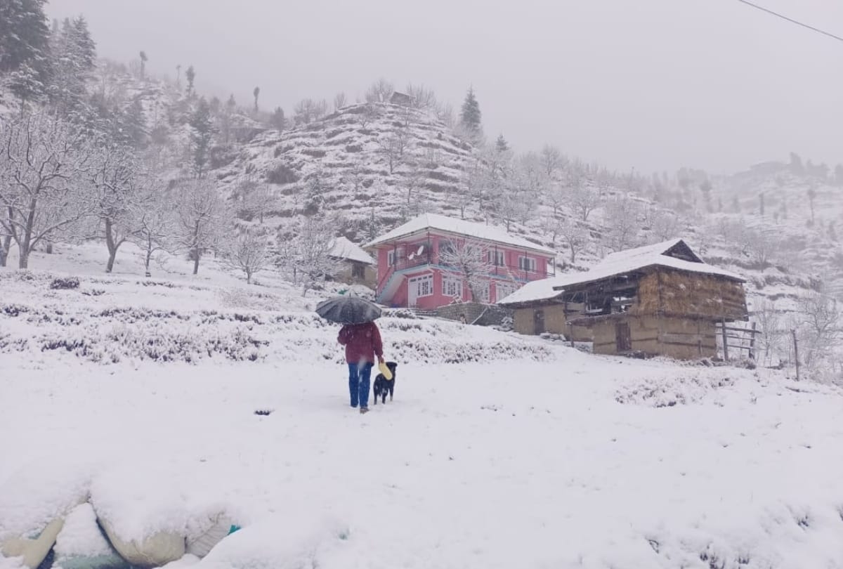 Shimla Weather Today Update: Shimla Snowfall: 2021 first snowfall in shimla images of snowfall manali kullu chamba dalhousie