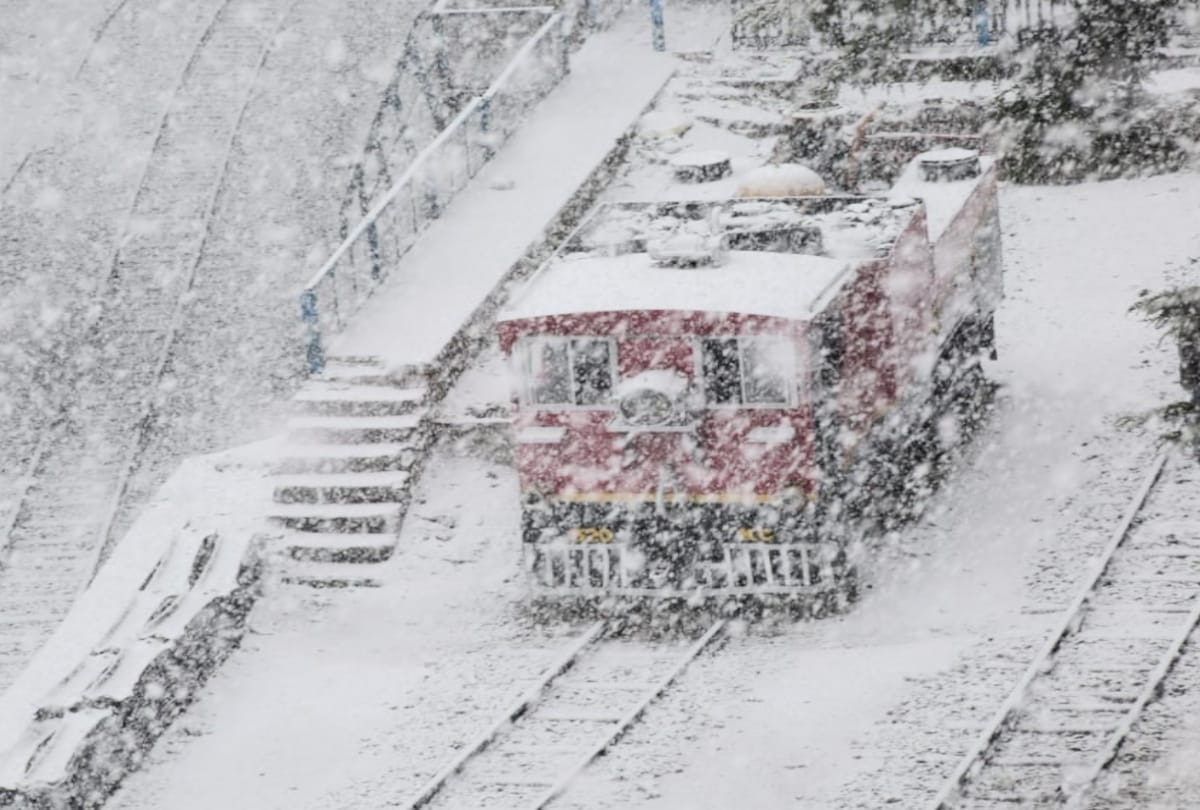 Trees fell on houses and vehicles due to heavy snowfall in Shimla, people reached home on foot, no electricity in many parts