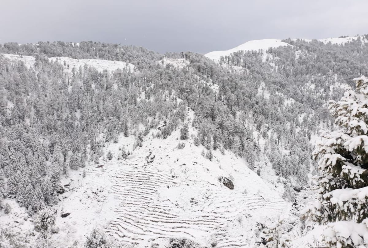 Uttarakhand Weather Forecast Today Update : Light rain, snowfall expected in mountainous areas