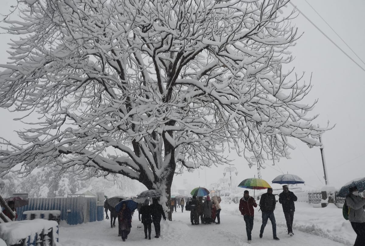 Trees fell on houses and vehicles due to heavy snowfall in Shimla, people reached home on foot, no electricity in many parts