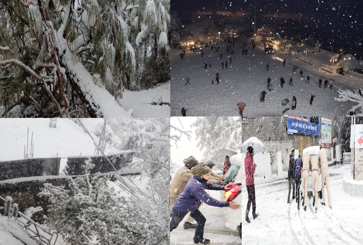 Trees fell on houses and vehicles due to heavy snowfall in Shimla, people reached home on foot, no electricity in many parts