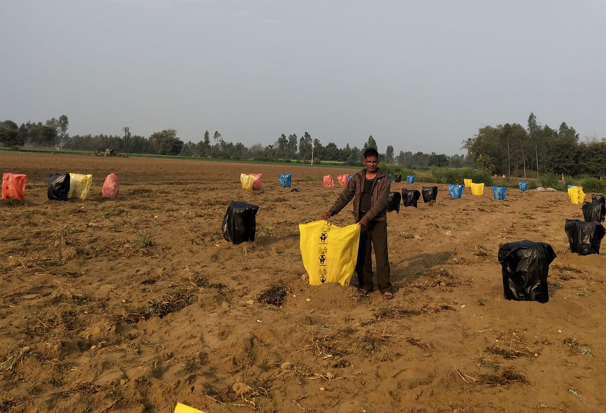 Weather changed, rain in many areas, wheat crop benefited