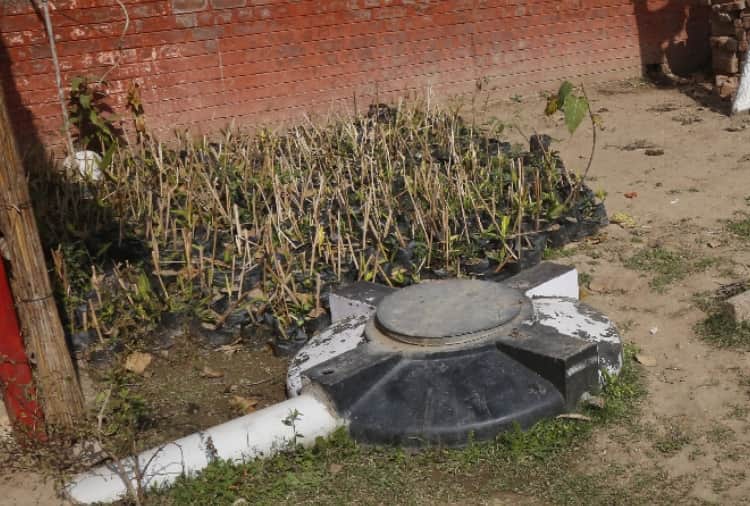 Chandigarh : Government school of Dhanas competes with private schools 