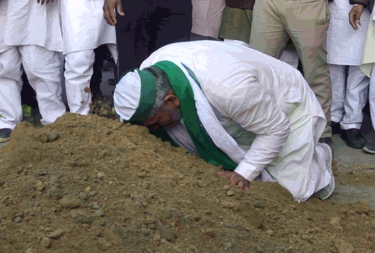 farmers protest rakesh tikait sow seeds of flowers where police planted iron nails to stop farmers entering delhi