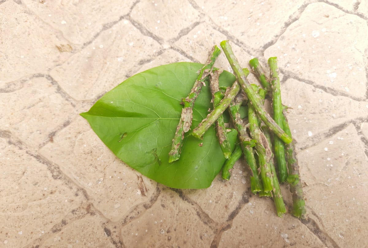 These spices can help you keep your lungs healthy