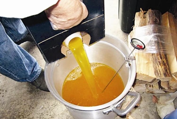 Haryana : 171 samples were failed in food safety and standards