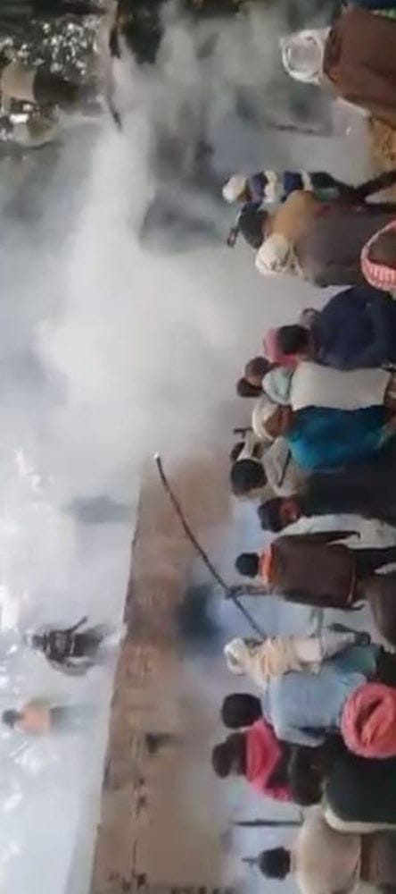 fire,cattle,dead,fathepur news,from bonfire