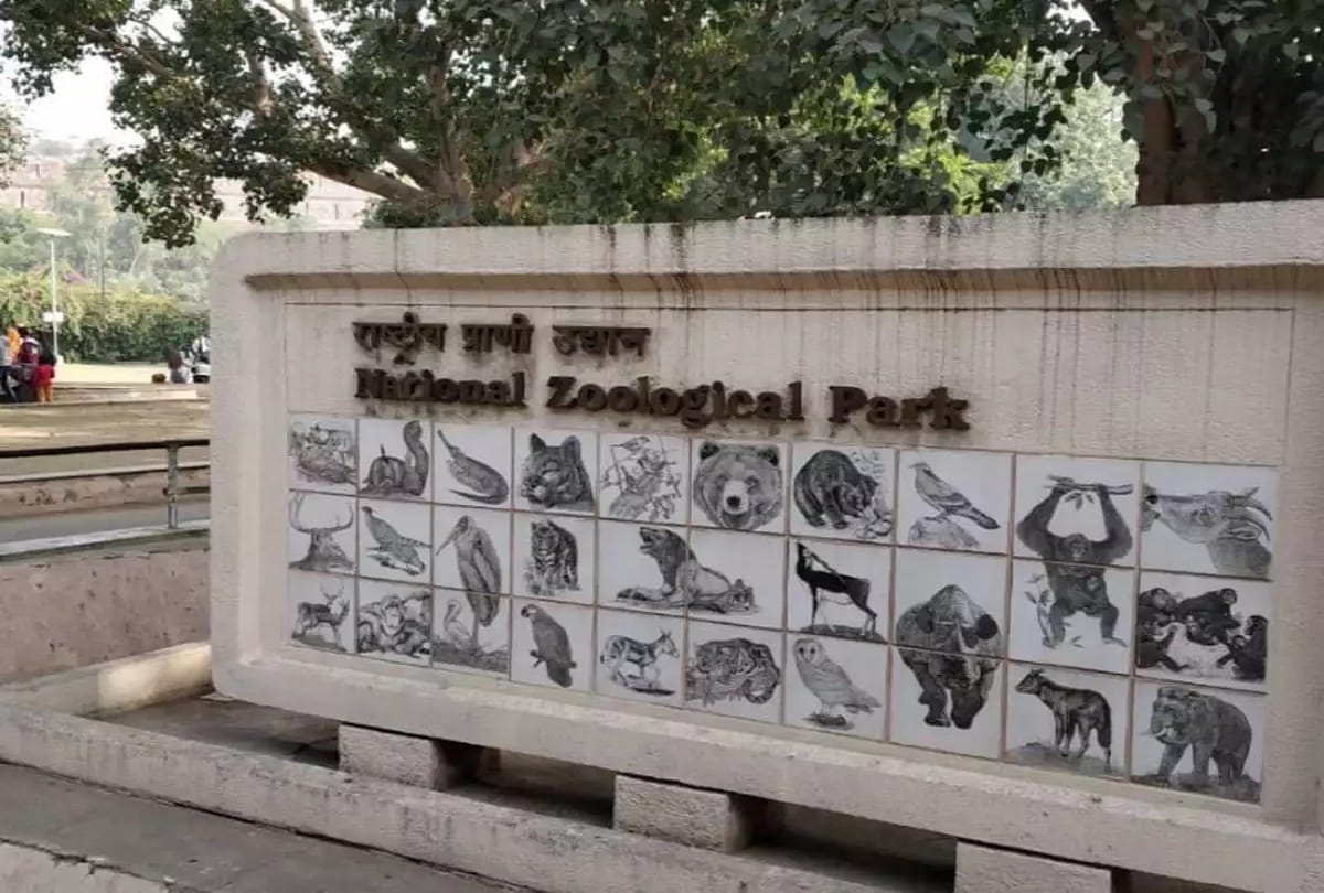 Report says, People of Delhi use 450 crores of oxygen free