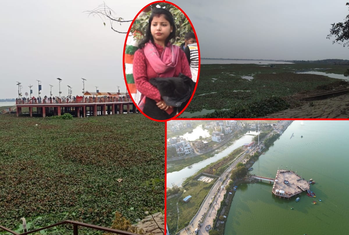 Hyacinth spread again in Ramgarh Taal Gorakhpur