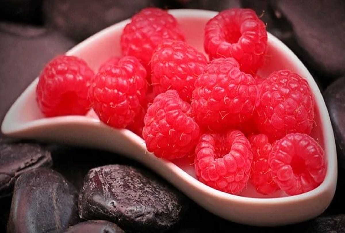 Health benefits of Raspberry fruit in hindi