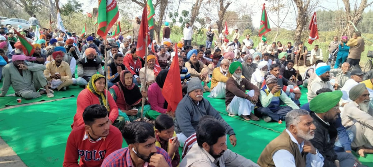 Many batches landed on the road in Abohar