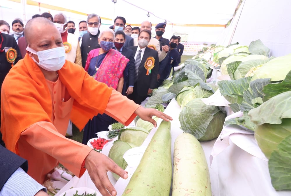 Vegetable exibition in rajbhawan Lucknow.
