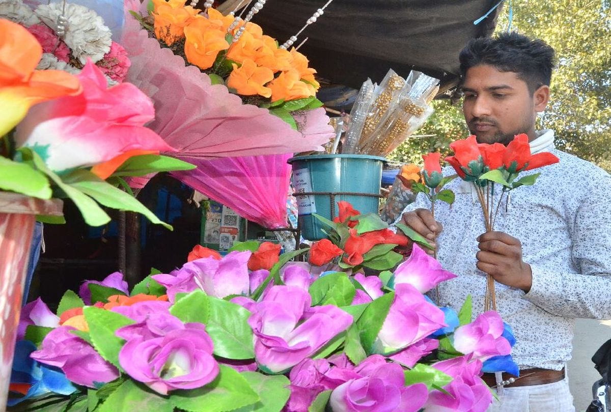 Valentine Week 2021 rose day celebration in agra
