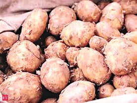 Sowing to buy potato seeds for fifty rupees, now farmers in shock due to fall in prices