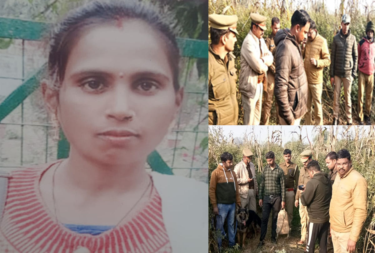 Husband murdered wife in hamirpur up