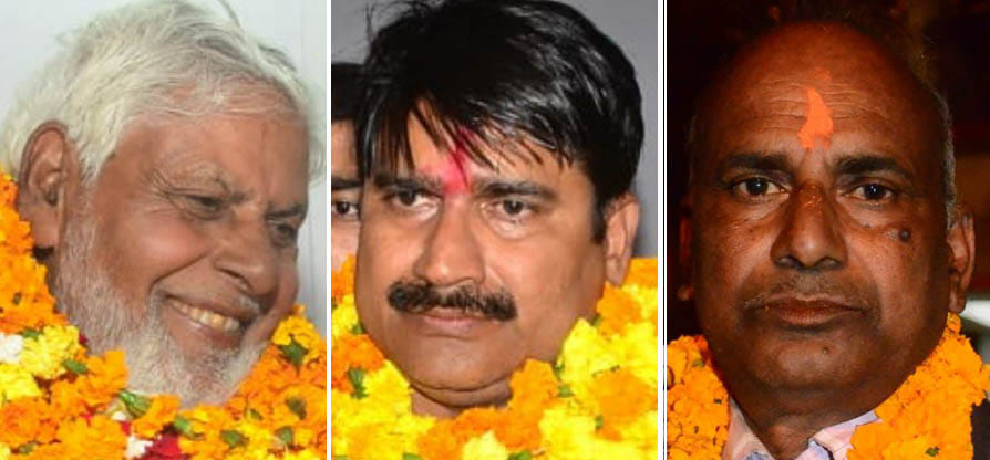 voter,advocate,DM,dj,law