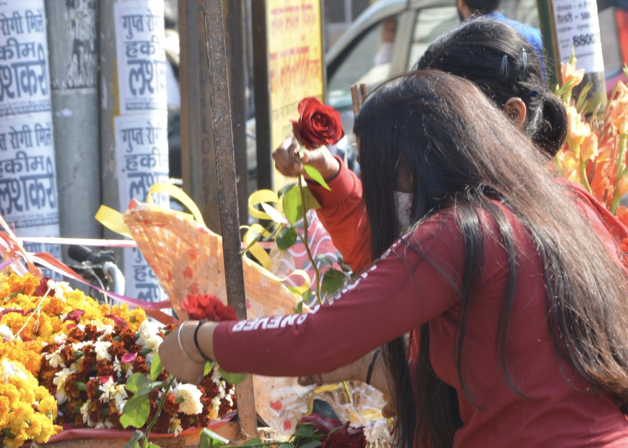 rose day firozabad