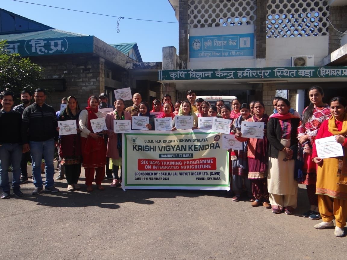farmer learn new technic for farming