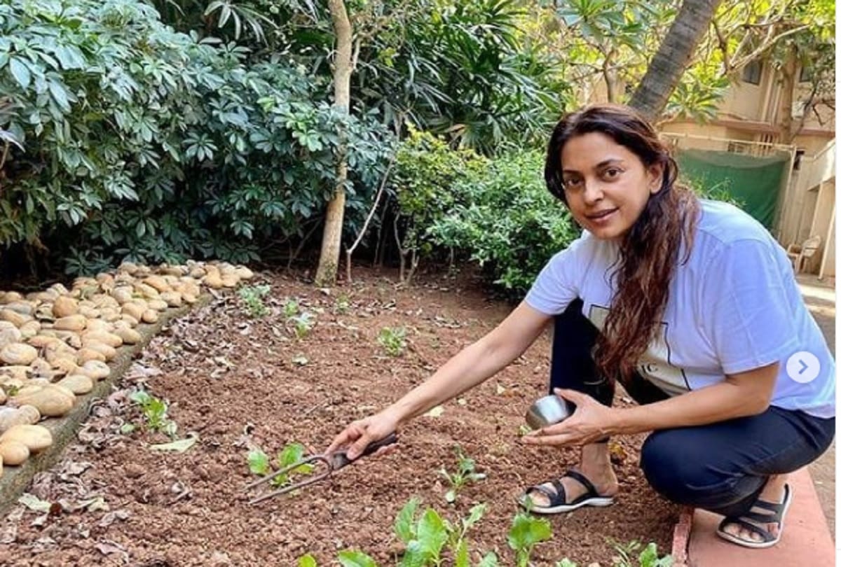 Juhi Chawla Salman Khan love affairs see latest pictures of actress doing organic farming