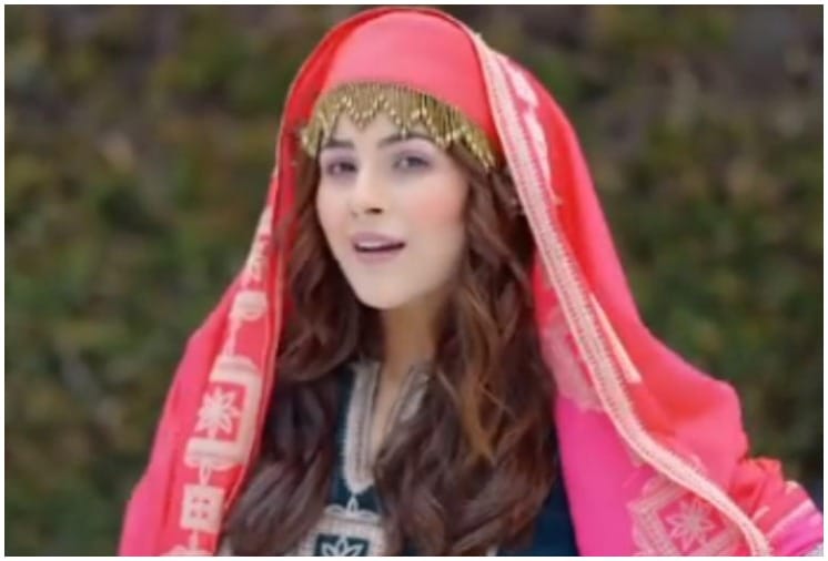 A video of Shehnaaz Gill dancing to Bumbro in Kashmir goes viral