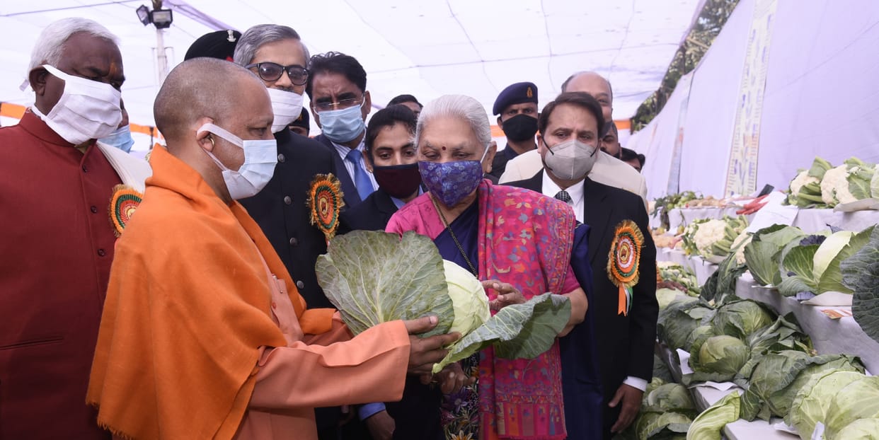 organic farming may full fill dream to double the income of farmers