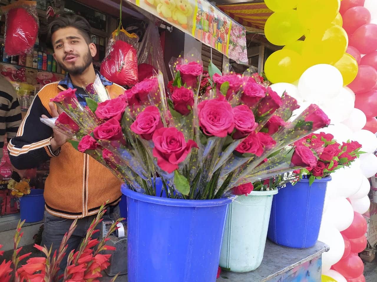 valentine's week started with the rose day