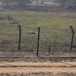 फाइल फोटो