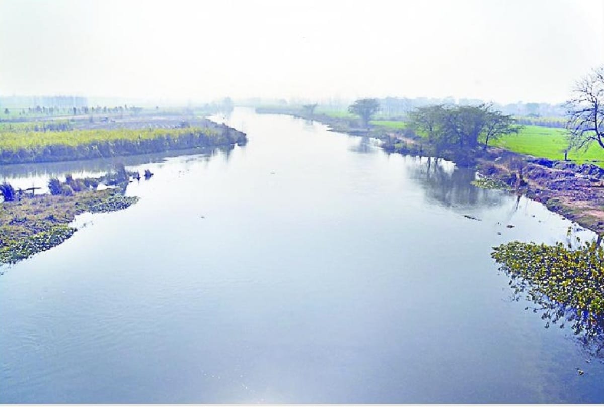 Father-son including buffalo-budgie drowned in Hindon river in Muzaffarnagar