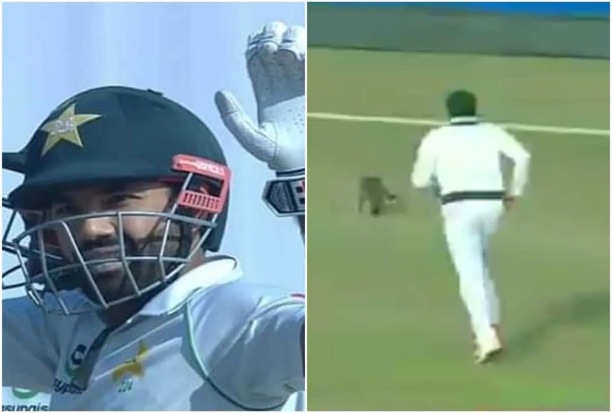 PAKvENG: Azhar ali chased a cat during second test against south africa