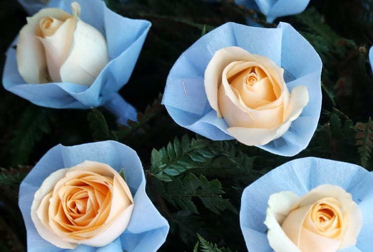 Chandigarh : Only 20 percent roses sold on Rose Day