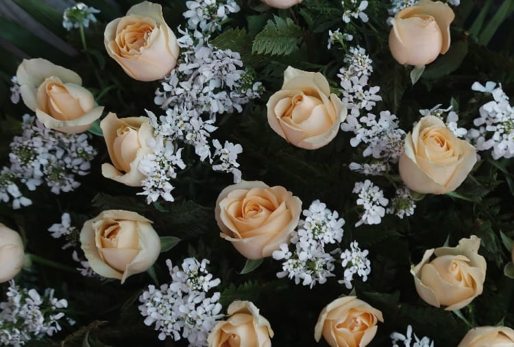 Chandigarh : Only 20 percent roses sold on Rose Day