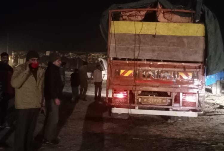 Haryana : police caught a truck full of oxen at Fatehabad