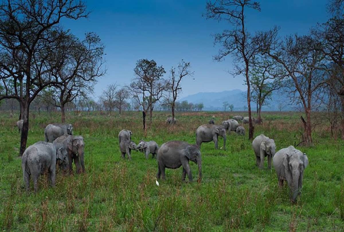 Tourist Places to Visit in Jharkhand Know About Trip and Destinations All You Need to Know