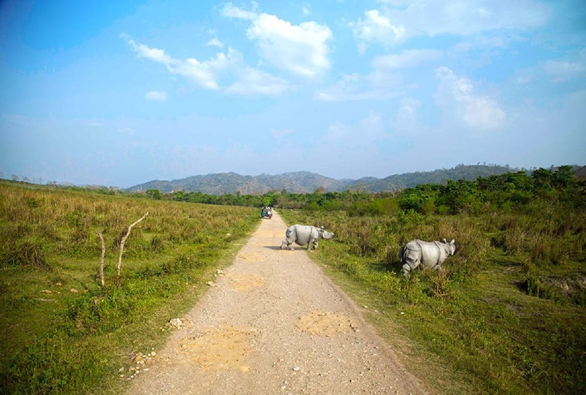 Interesting facts about Kaziranga National Park