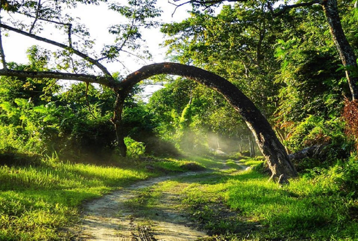 Interesting facts about Kaziranga National Park