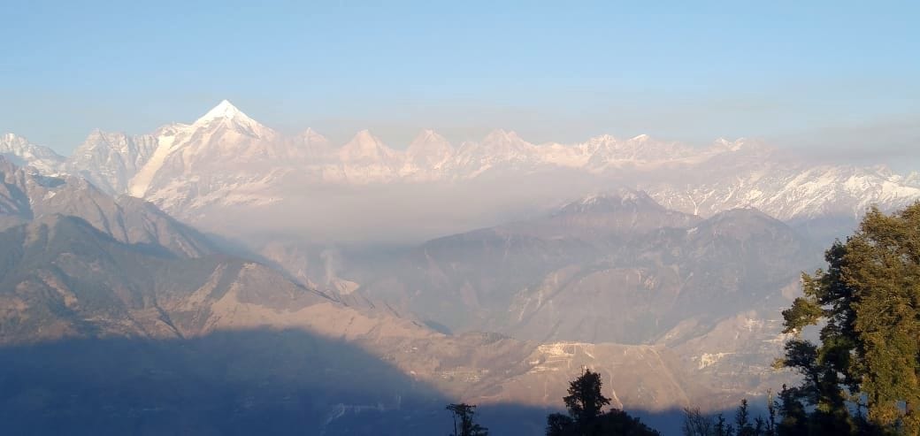 Forest Fire For Wildlife Crime