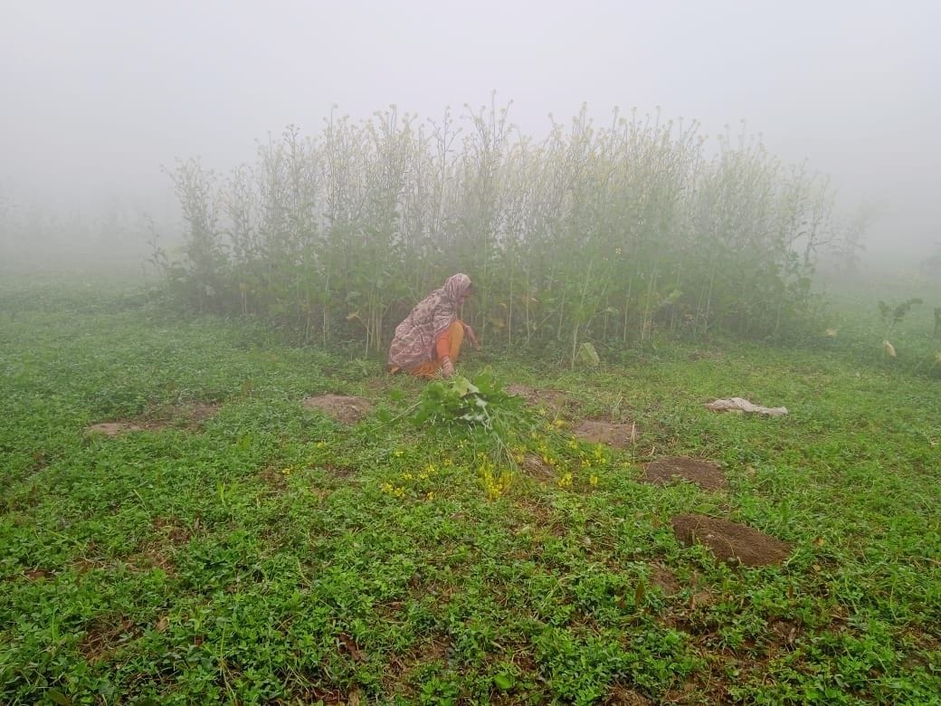 Men manage Delhi border, women manage home and farming : Sikkim