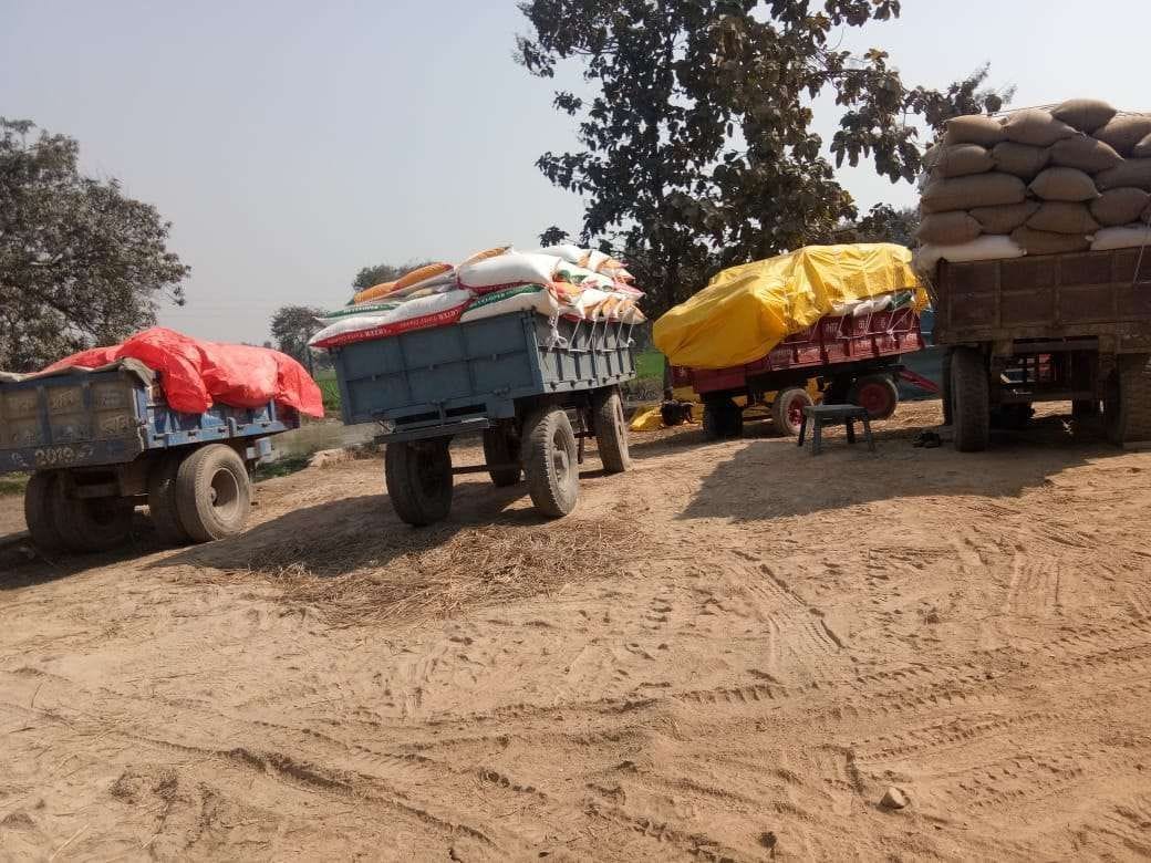 Paddy procurement: 75 percent purchasing centers closed in the district