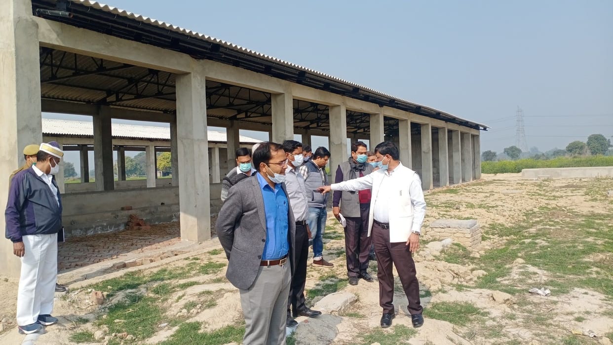 dm inspected cow shelter