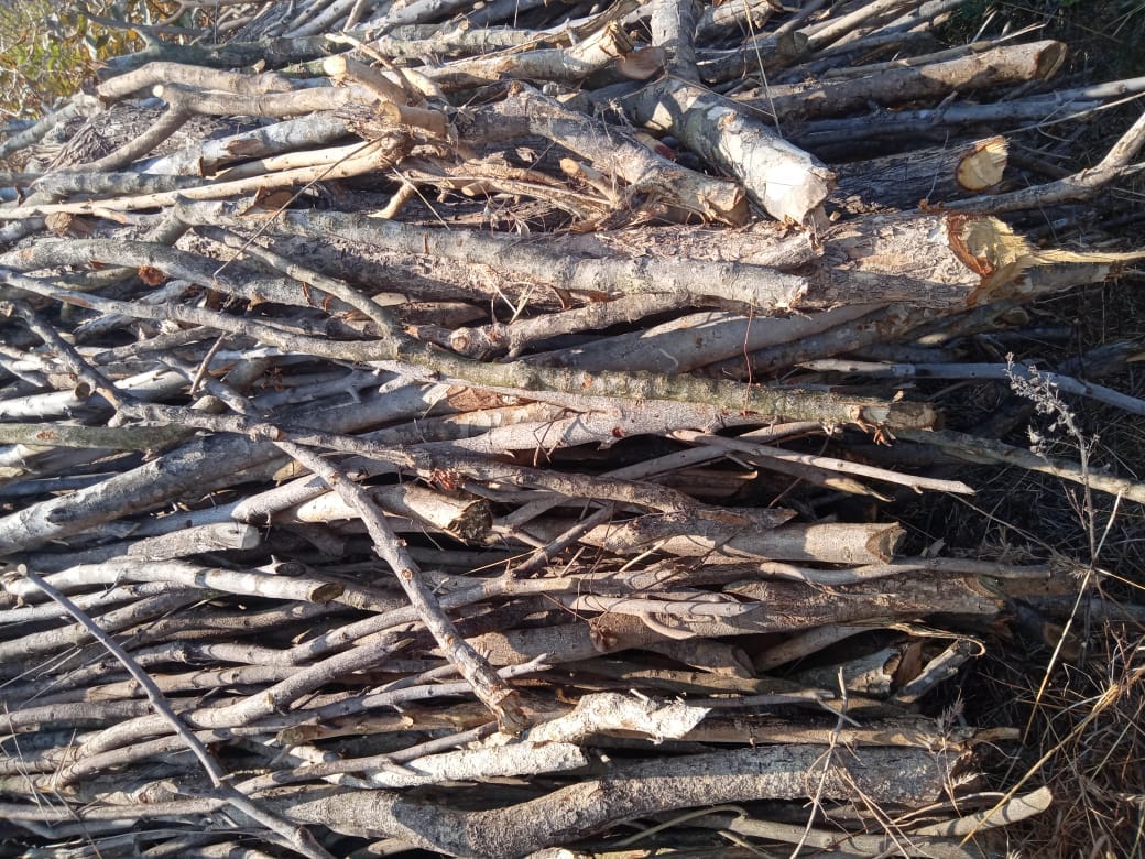 avaidh katan in harshpur and daulta