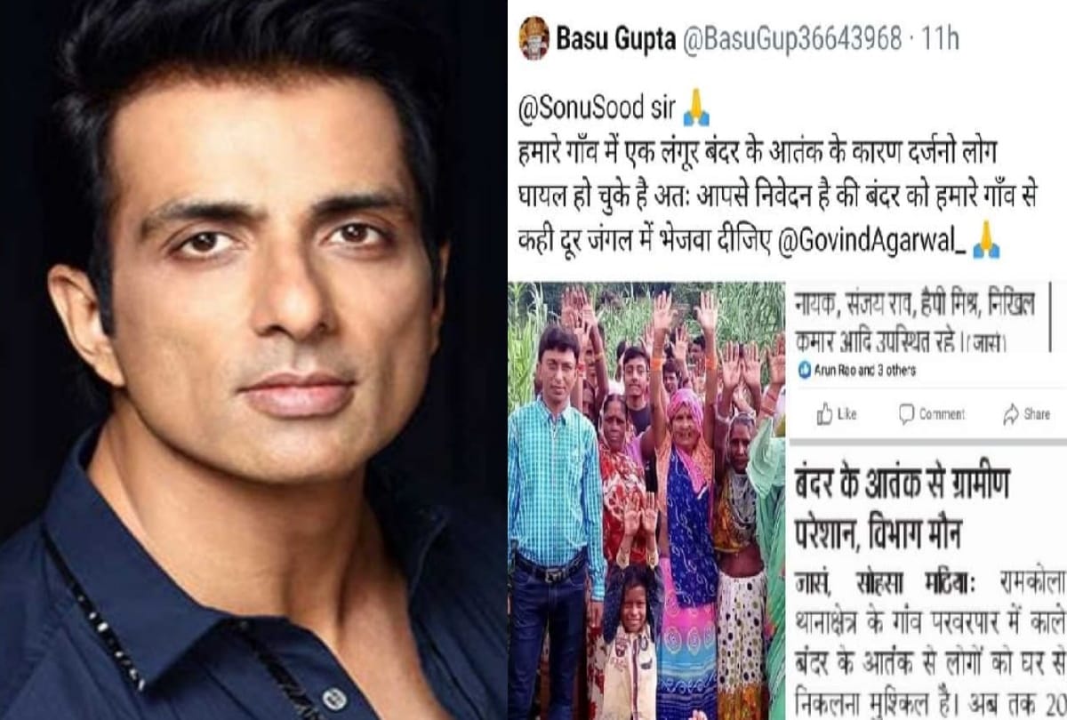 Young man sought help in getting monkey by tweeting Sonu Sood