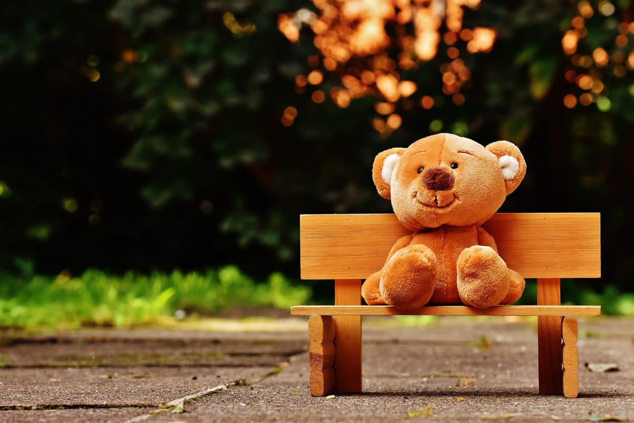 Happy Teddy Day 2022 Gift For Girlfriend Which Teddy Bear Colour Express Love On Valentine Day