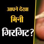 नैनो गिरगिट